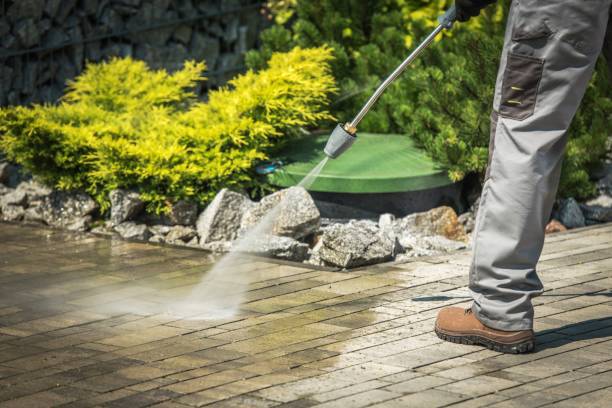 Animal Enclosure Cleaning in Brunswick, OH