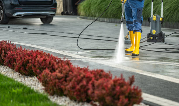 Best Sidewalk and Walkway Cleaning  in Brunswick, OH